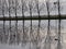 Trees reflecting in the water of an ice court in Park Hitland where frost does not have frozen the water Yet