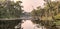 Trees reflection in the lake in Chitwan National Park, Nepal