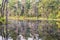 Trees reflection in the lake in Chitwan National Park, Nepal