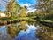 Trees reflections on the river surface