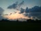 Trees, rice field, purple, cloud, and the sky