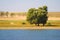 Trees on river banks