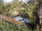 Trees & River Walk Nr. Crookham, North Northumberland, England