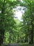 Trees at Roosevelt Park in Edison, NJ, USA. Ð“.