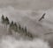 Trees are seen wrapped in fog on a Sierra Nevada mountain