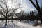 Trees` shadow on snow walkway and silhouette buildings in Manhattan