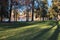 Trees, shadows and water in urban park