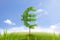 Trees in shape of euro sign business concept of growing prosperity