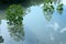 Trees at Shimajiri Mangrove forest or park at high tide in Miyako island