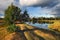 Trees on the shore of a warm lake. Coniferous pine forest near taiga pond.