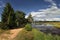 Trees on the shore of a warm lake. Coniferous pine forest near taiga pond.