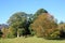 Trees showing Autumn tints, Causey Pike, Cumbria