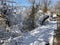 Trees and shrubs covered in snow by a concrete walkway