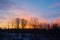 Trees Silhouetted Against A Golden And Purple Sunrise