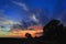 Trees silhouetted by cloudy sunset