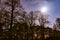 Trees silhouettes in spring. beautiful landscape. toned photo