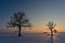 Trees silhouettes .Winter sunset .