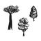 Trees sketched in vector. Hand drawn isolated elements. Black silhouettes. Baobab tree.