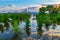 Trees, sky and clouds reflections in flooded Tom Hanafan river`s edge park Council Bluffs Iowa