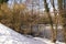 Trees, snow and ice-cold lake - Landscapes wintry