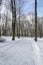 Trees in Snow in a Parc