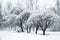 Trees in the snow in the park. Winter landscape,