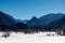 Trees in snowy Ruhpolding