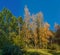 Trees in Sofiyivka Park in Uman, Ukraine