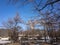 Trees in spring and the blue sky