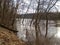 Trees in spring floods on the river Gauja