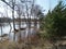 Trees in spring floods on the river Gauja