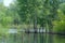 Trees stand along the banks of the overflowing river