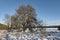 Trees stand out in the low winter sun and look golden against the snowy conditions and clear blue sky  of a very cold Clunie Loch.