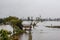 Trees standing from water. Flooding in Laos