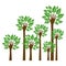 trees with stem in form hand icon