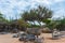 Trees, Stones, Desert and Sky