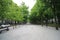 Trees and stones on the innerlane of the royal road Lange Voorhout in The Hague, the Netherlands