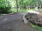 Trees, stream and small bridge at Roosevelt Park in Edison, NJ, USA. Ð“.