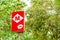 Trees and subway sign in the Rambla in Barcelona, Spain