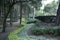 Trees sunken park in Mexico City in curved shapes