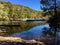 Trees Surround calm creek