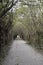 Trees surround the trail.