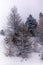 Trees in the Swiss Alps under an heavy snowfall - 1