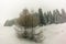 Trees in the Swiss Alps under an heavy snowfall - 5