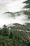 Trees and terraces in the clouds.Misty autumn landscape with rice terraces.