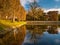 Trees and their reflection in the pond at the Oliwa Park.