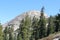 Through the trees to Sentinel Dome