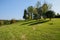 Trees on top of grassy hill in sunny winter afternoon