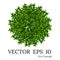 Trees top view for landscape vector illustration.