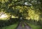 Trees Tranquil Scene Rural Road Solitude Concept